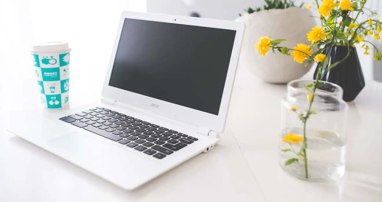 Ремонт ноутбуков Acer в Заречном