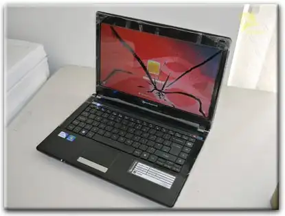 Замена матрицы Packard Bell в Заречном